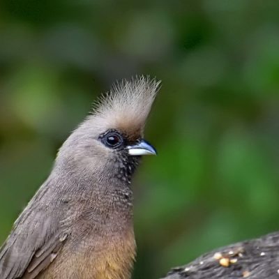 Fourways, October 2016