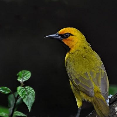 Tugela Mouth, KwaZulu Natal - October 2010