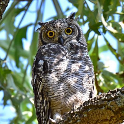 Delta Park, Dec 2016