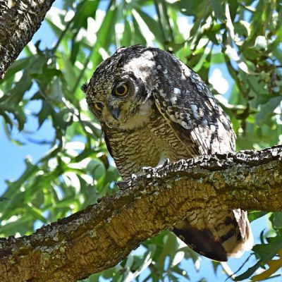 Delta Park, Dec 2016