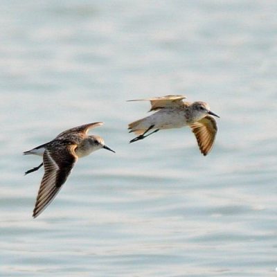 Borakalaro National Park, October 2014