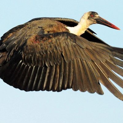 Howick, KZN - June 2014