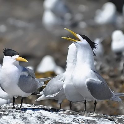 Cape Town, September 2013