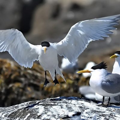 Cape Town, September 2013