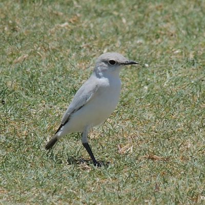 Namibia, December 2007