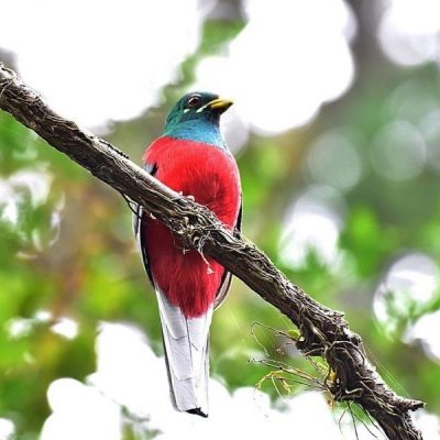Natures valley, Western Cape, October 2016