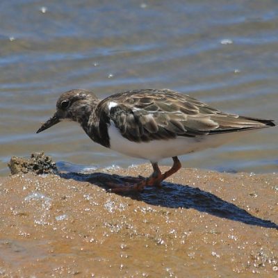 Namibia, December 2007