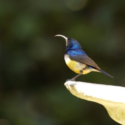 St Martins Harare - Zimbabwe,  July 2016