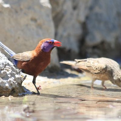 Namibia, December 2007