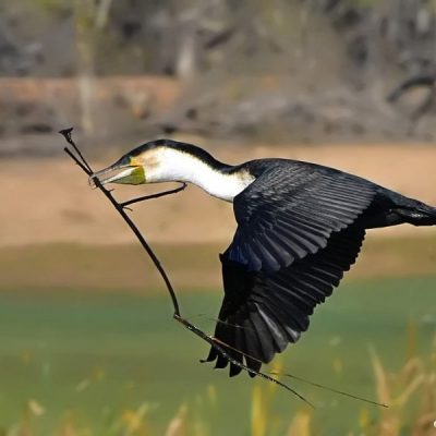 Kruger National Park, June 2016