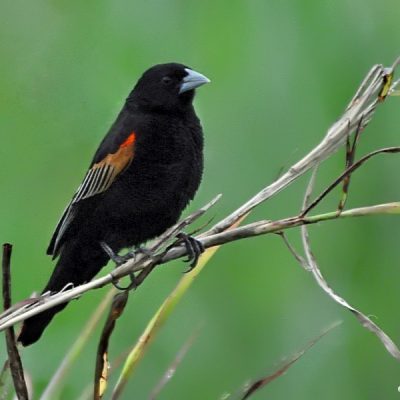 Tugela Mouth, KwaZulu Natal - October 2012