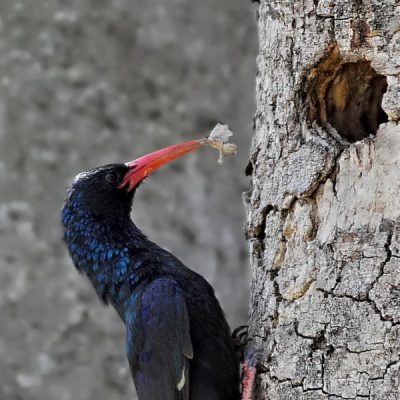 Fourways, 5 November 2011