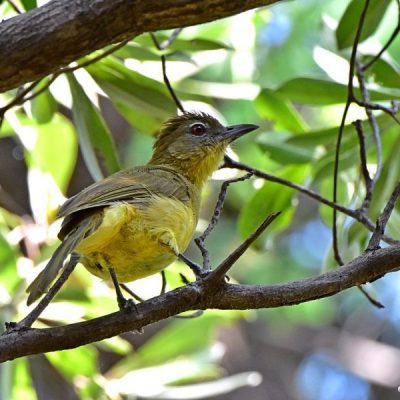 Caprivi House-boat Safari Lodge,  20 April 2016