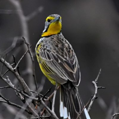 Tugela mouth, KwaZulu Natal - October 2012