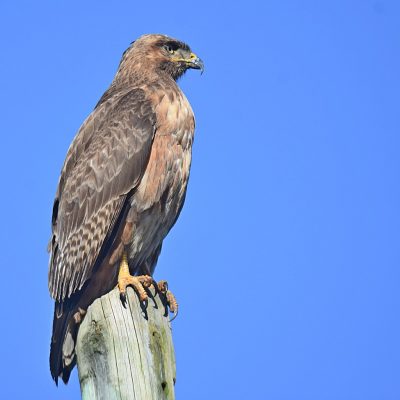 R340, Plettenberg Bay, Western Cape - June 2023
