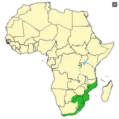Ref: http://wildlifevagabond.com/africa