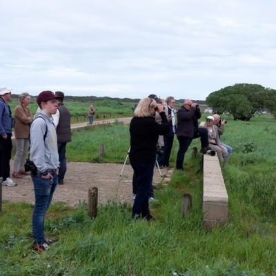 Twitchers at Zeekoeivlei picnic site,  July 2016